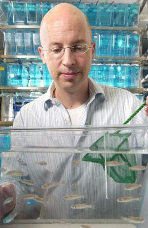 Kenneth Poss, Ph.D., with zebrafish. (Image courtesy of Duke University Medical Center) Kenneth Poss, Ph.D., with zebrafish. (Image courtesy of Duke University Medical Center)