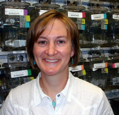 Katy Baden, whose research has established the zebrafish as a model for studying human diseases linked to COX deficiencies, is shown in the Zebrafish International Resource Center. (Credit: Photo by Jim Barlow) Katy Baden, whose research has established the zebrafish as a model for studying human diseases linked to COX deficiencies, is shown in the Zebrafish International Resource Center. (Credit: Photo by Jim Barlow)