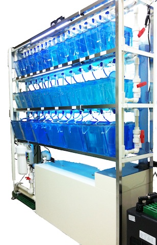 Custom 3-Layer Aquatic Rack Custom 3-Layer Aquatic Rack