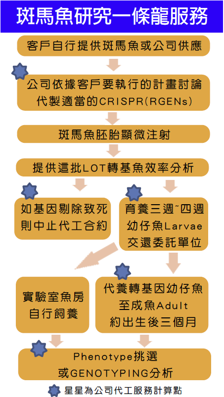 Zebrafish Crispr(RGENs) Service
