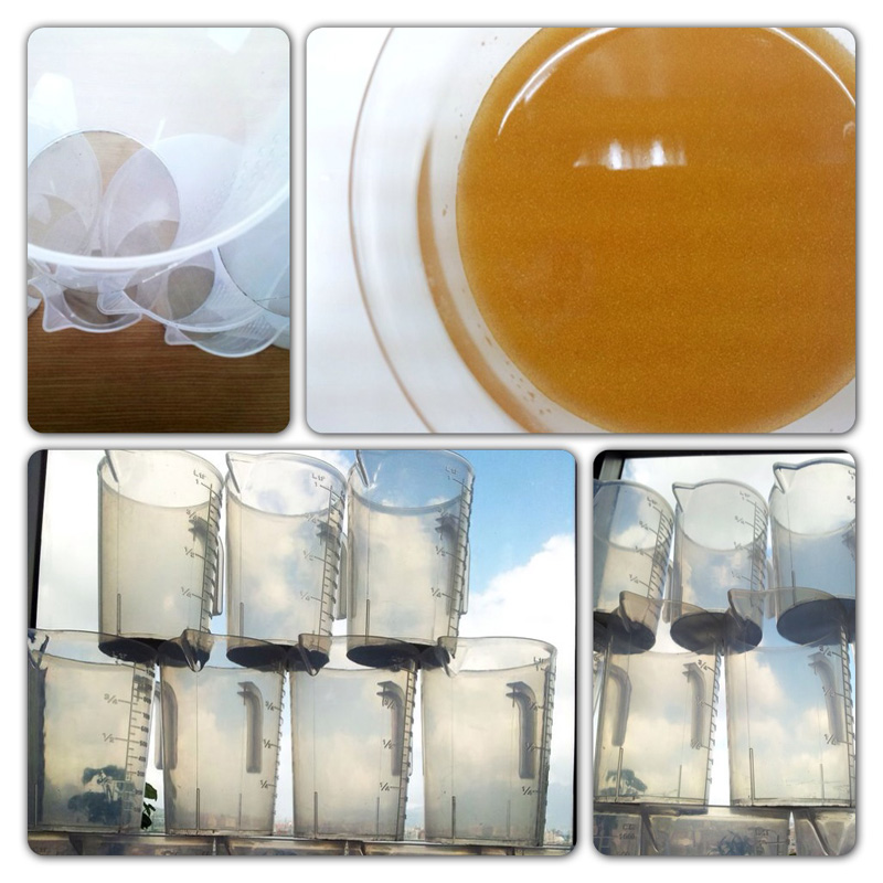 BrineShrimp Collection Cup