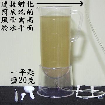 Brine Shrimp Hatchers