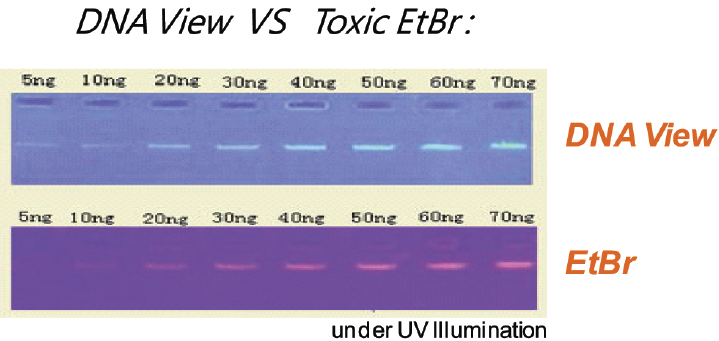 DNA VIEW (Nucleic Acids Stain)